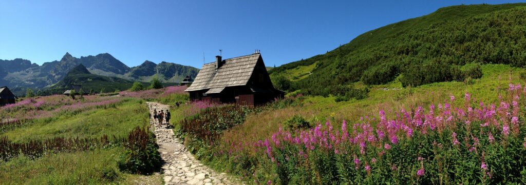 dzideklasek tatry 2637160 1920